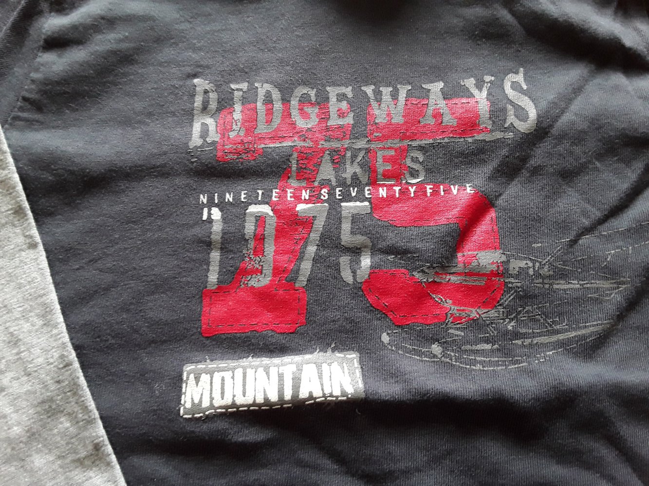 graues Langarmshirt in Gr. 86/92 von TCM