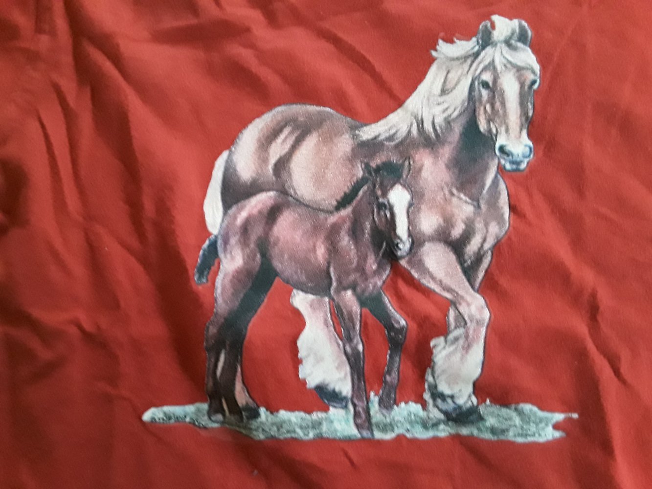 rotes T-Shirt mit Pferdemotiv in Gr. 104