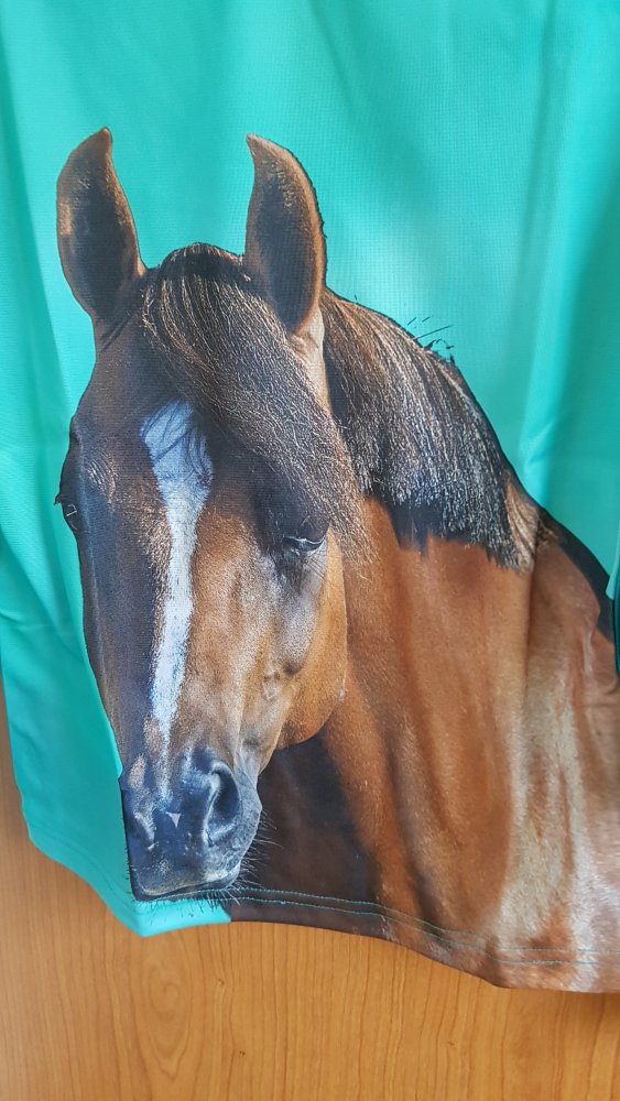 ungetragenes Langarmshirt in Gr. 152 von Red Horse (nur gewaschen)