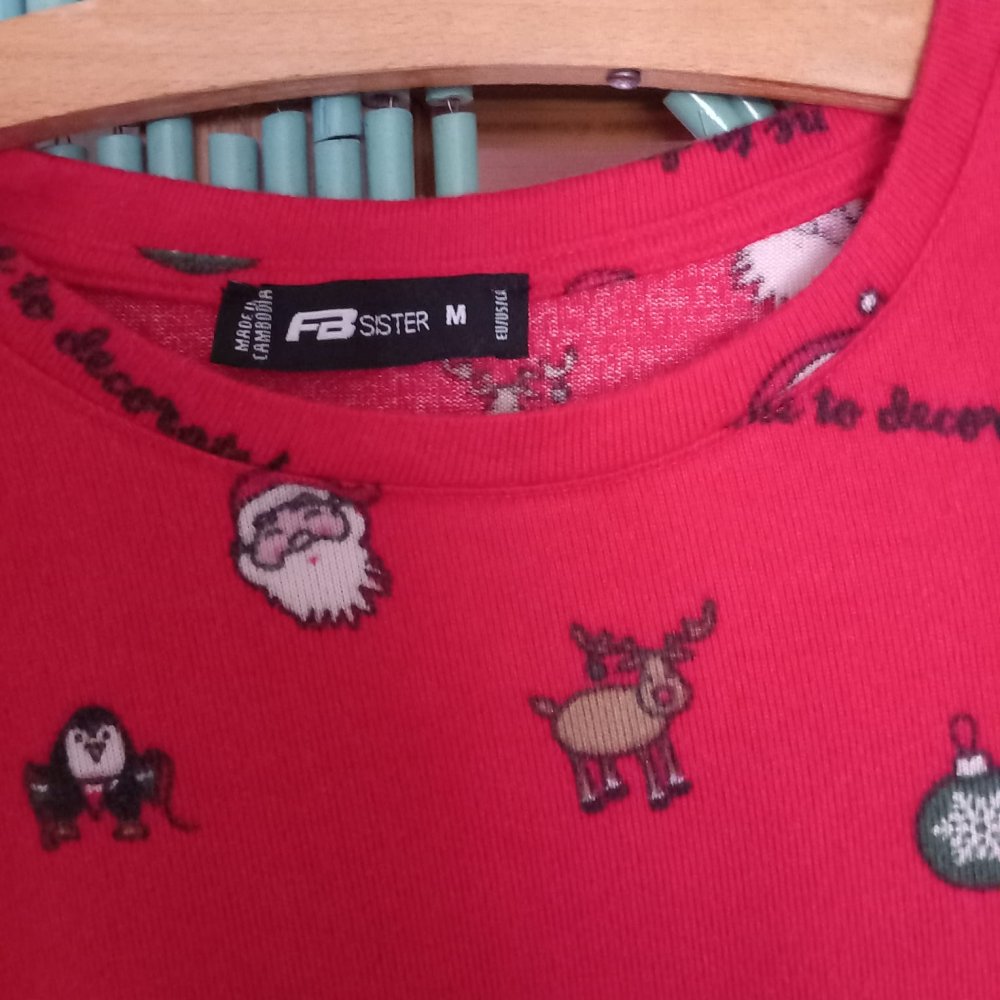 *** Schöner Pullover ~ Motiv ~ FB Sister ***