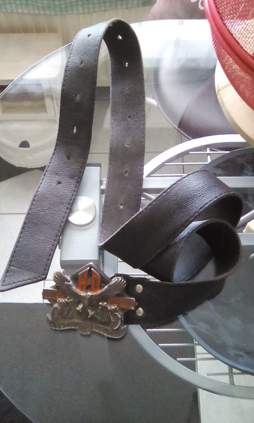 *** Gürtel mit Adler Schnalle ***