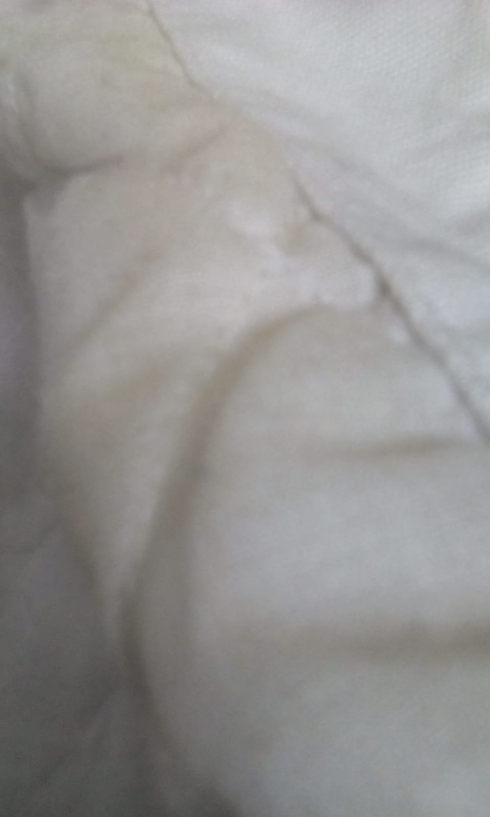 *** Super Jacke mit abnehmbarer Kapuze ***