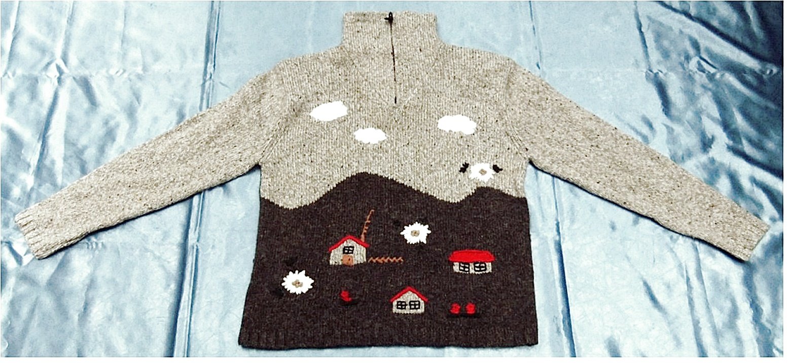 Rollkragen-Pullover , von Country Line - Gr.46 - Mit Häuser / Blüten Motiv - hellgräulichbräunlich / dunkelgräulichbräunlich