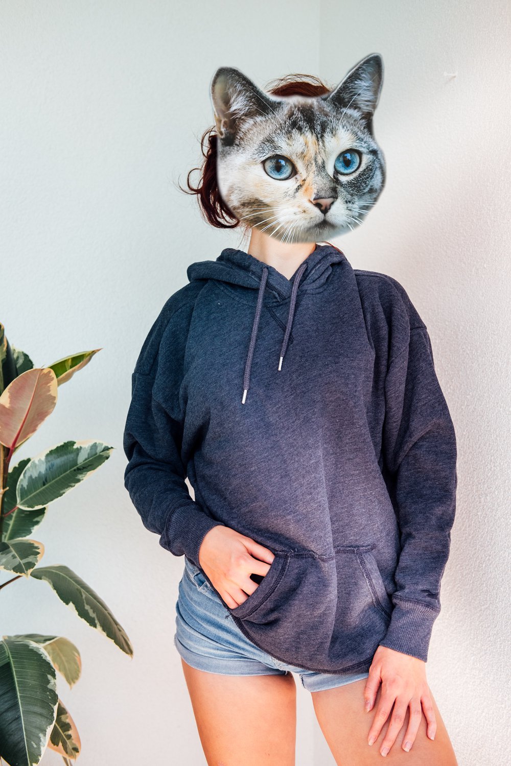 Hollister Hoodie NEU