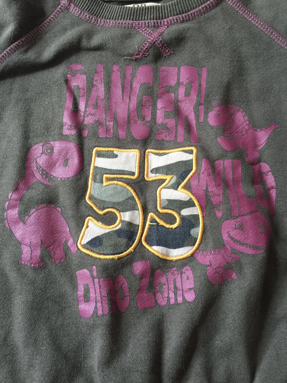 Dino Sweatshirt Gr. 98