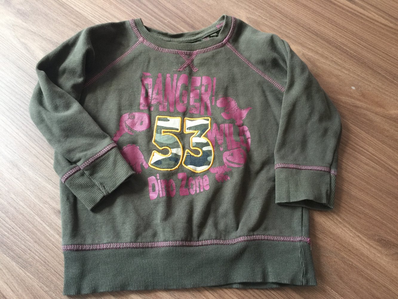 Dino Sweatshirt Gr. 98