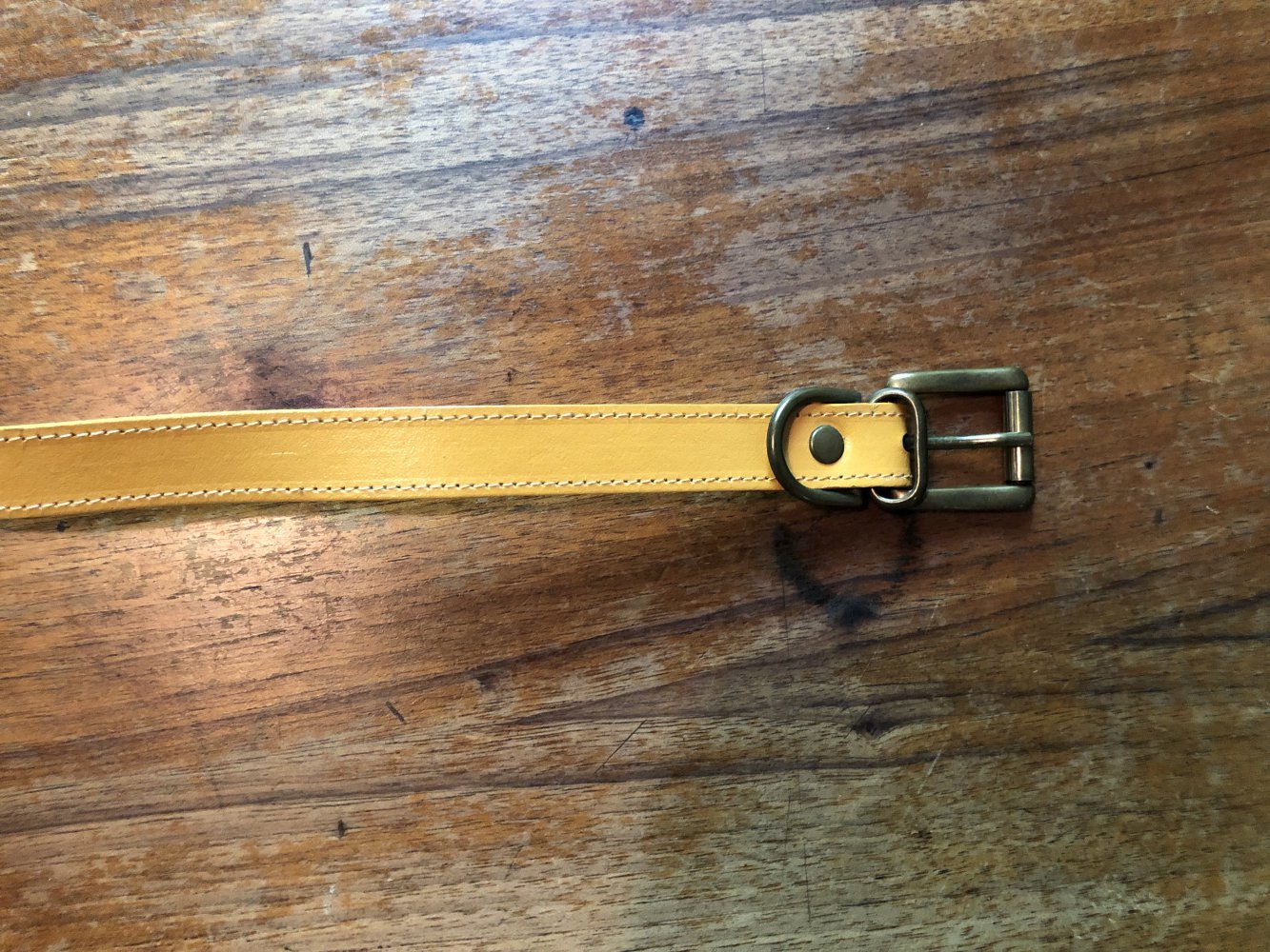 Senfgelber schmaler Gürtel