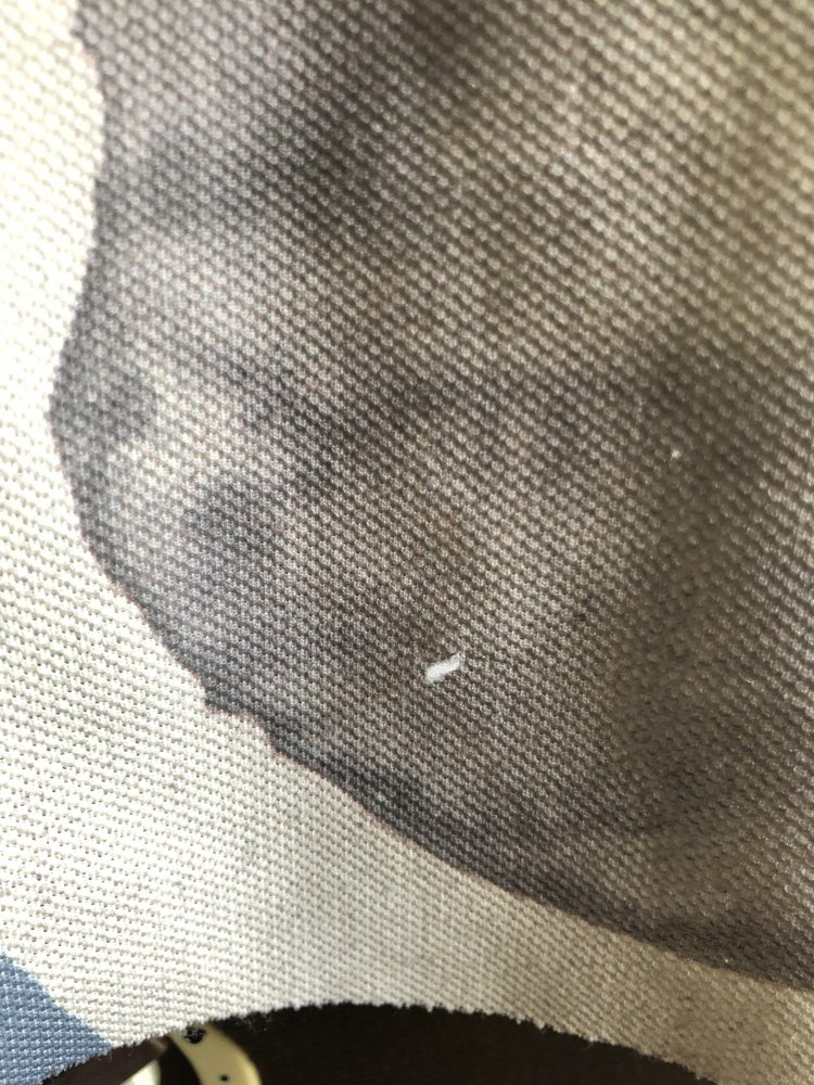 Sportlich elegantes Oberteil von Zara