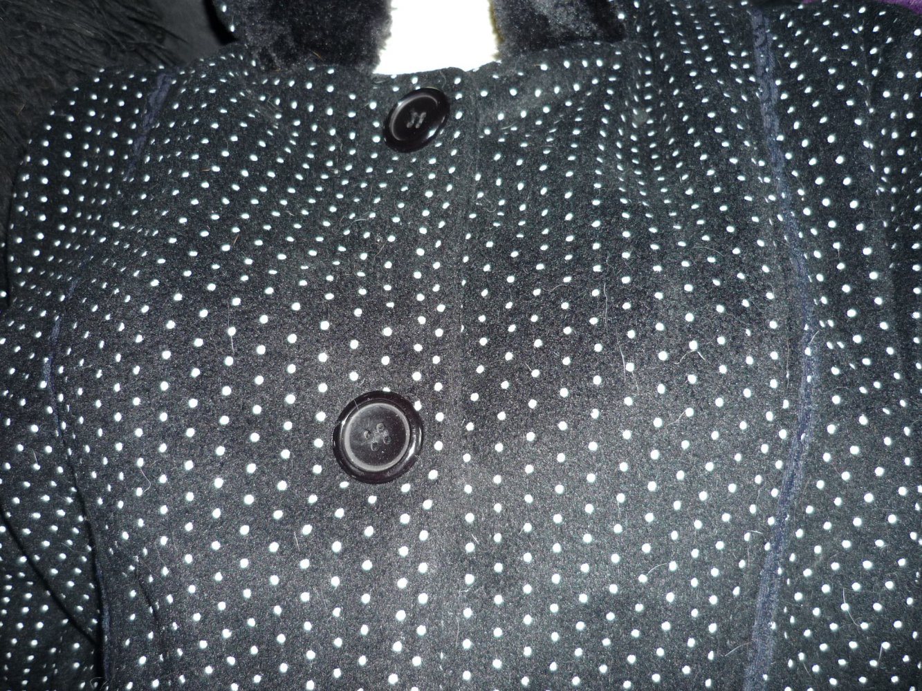 Gothic Rockabilly  Lolita Kurzmantel Gr. L 40 Poizen Industries