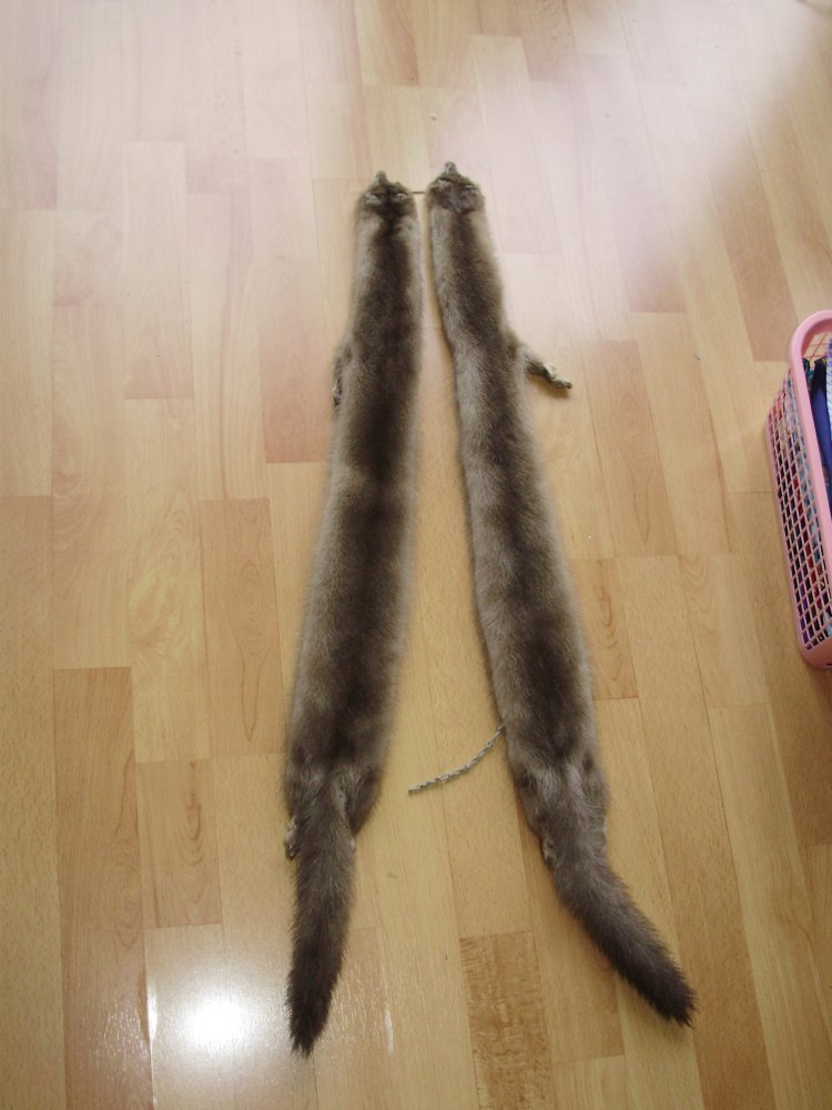 Nerzstola/ kragen 2 x aus den 60- ern