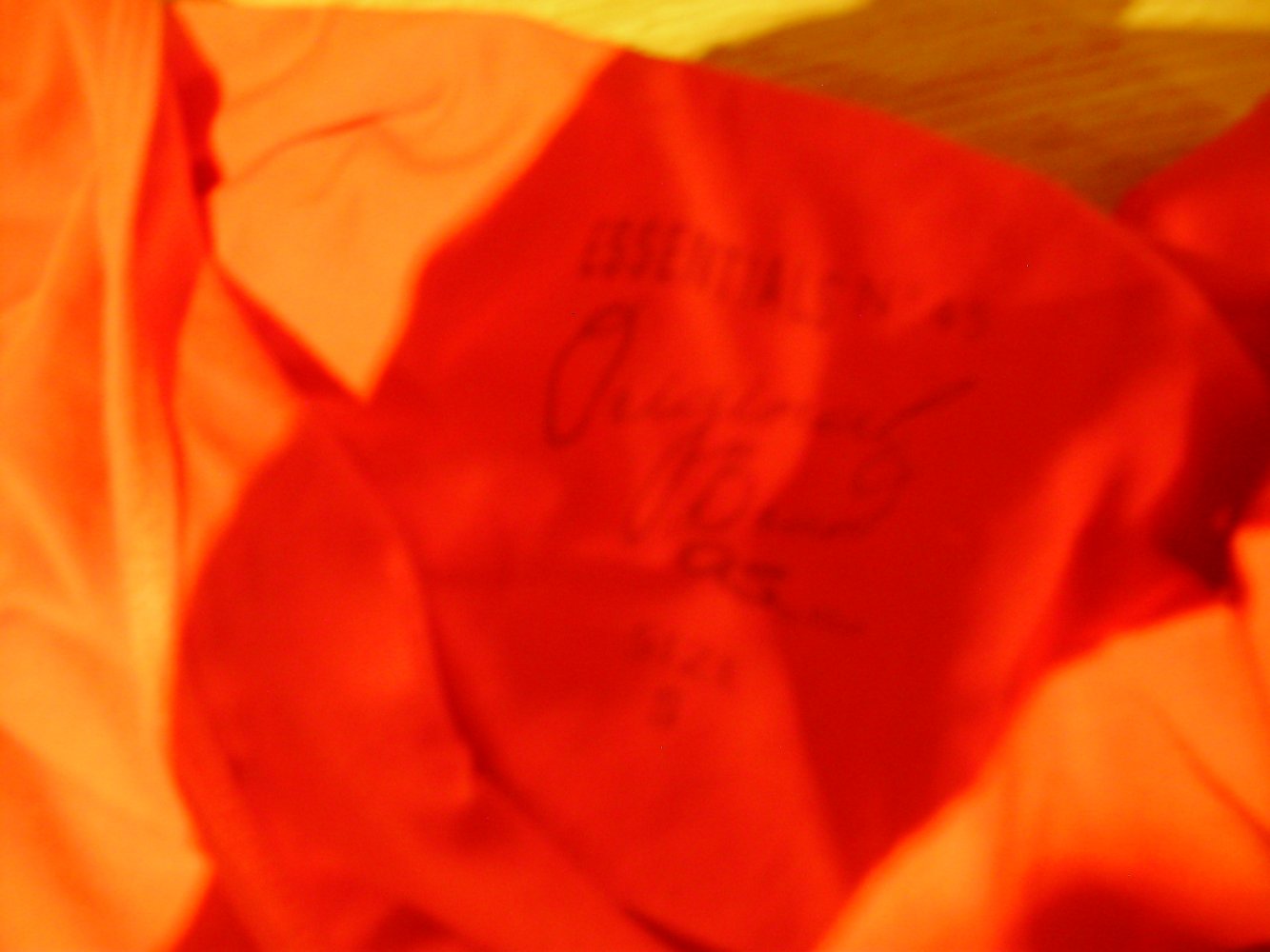 S. oliver Top Stretch rot BW S