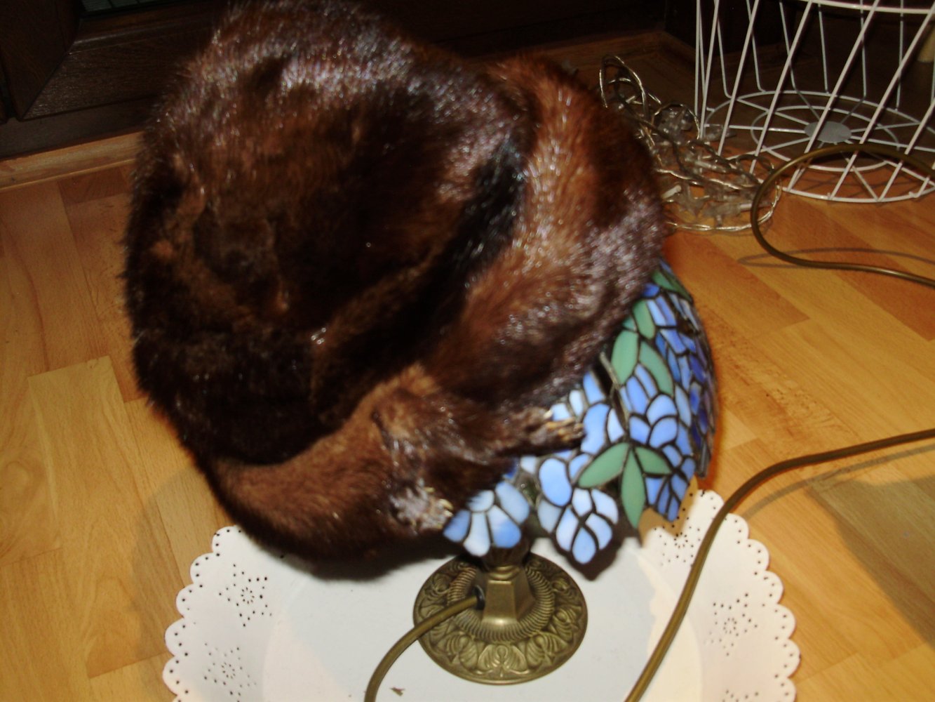 Echt Nerz Hut braun dunkel Füße