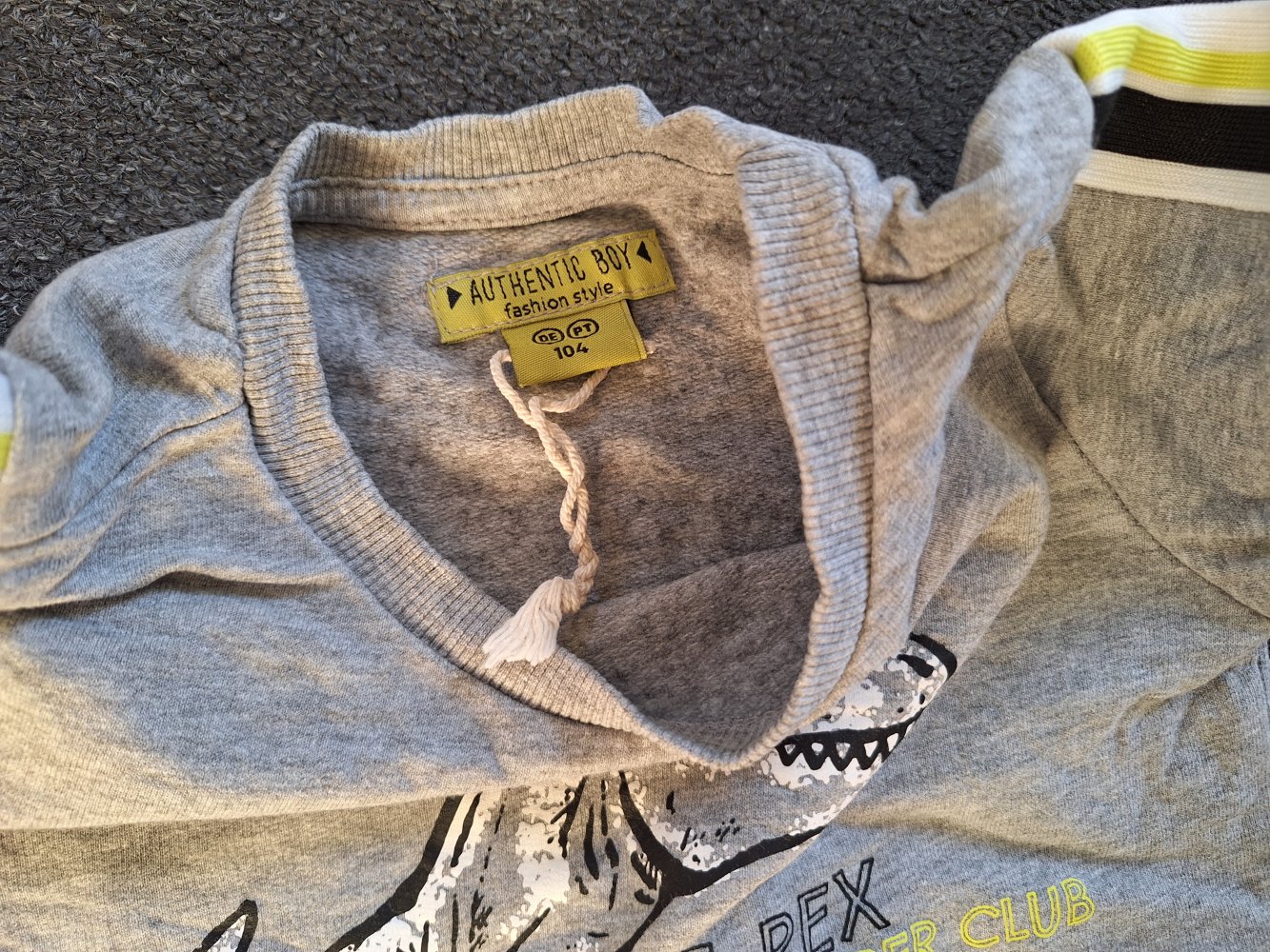 grauer Dinopullover Gr. 104 T-Rex