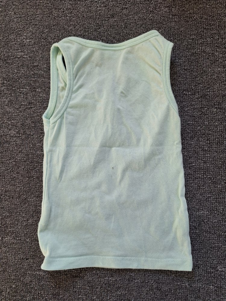 Set: türkises Unterhemd/Tanktop mit Pferden, Gr. 92