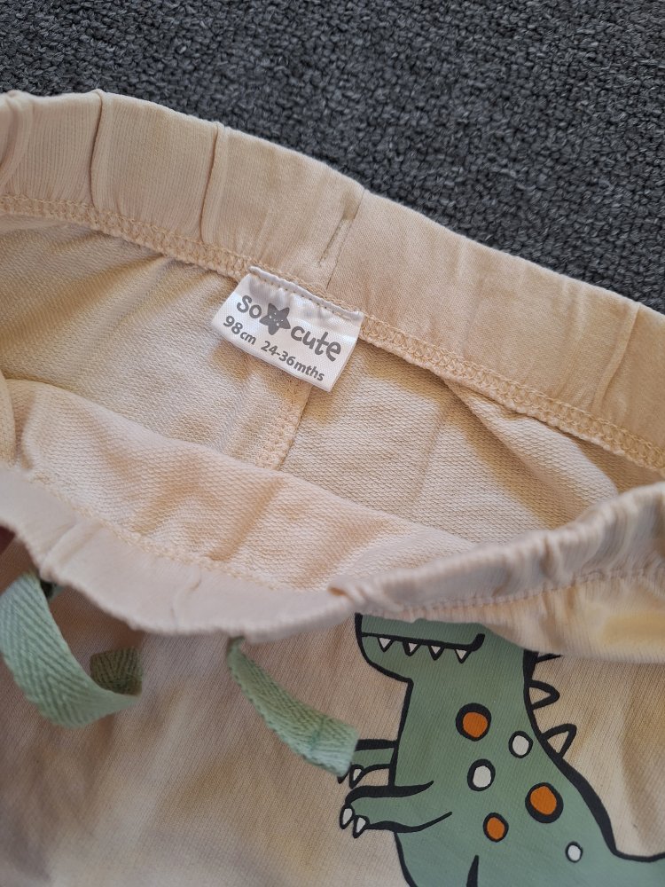 Bequeme Dino-Jogginghose, Gr. 98