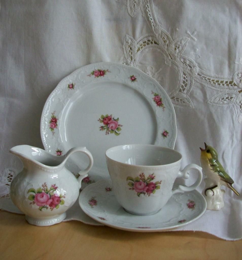 Porzellan Service, Seltmann Weiden 70er