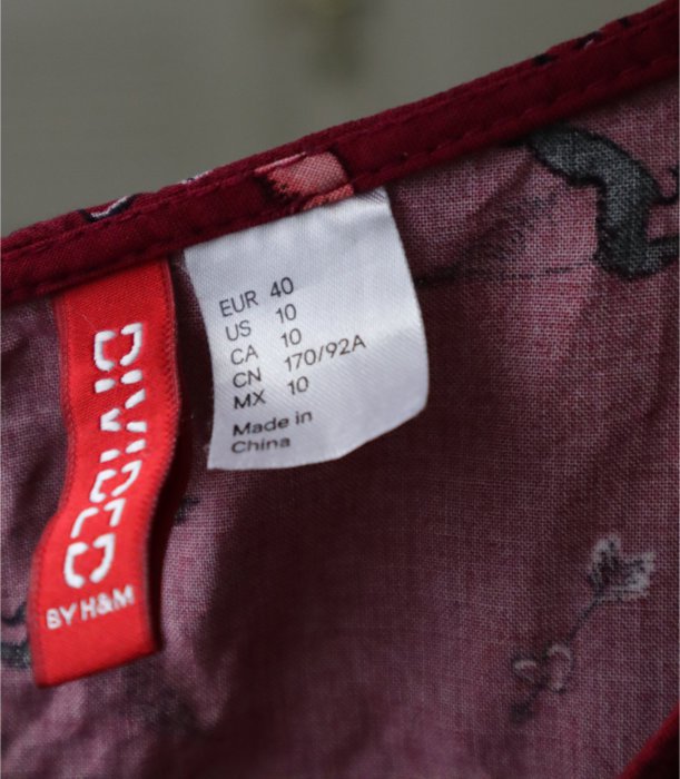 rotes Kleid mit Pegasus-Muster