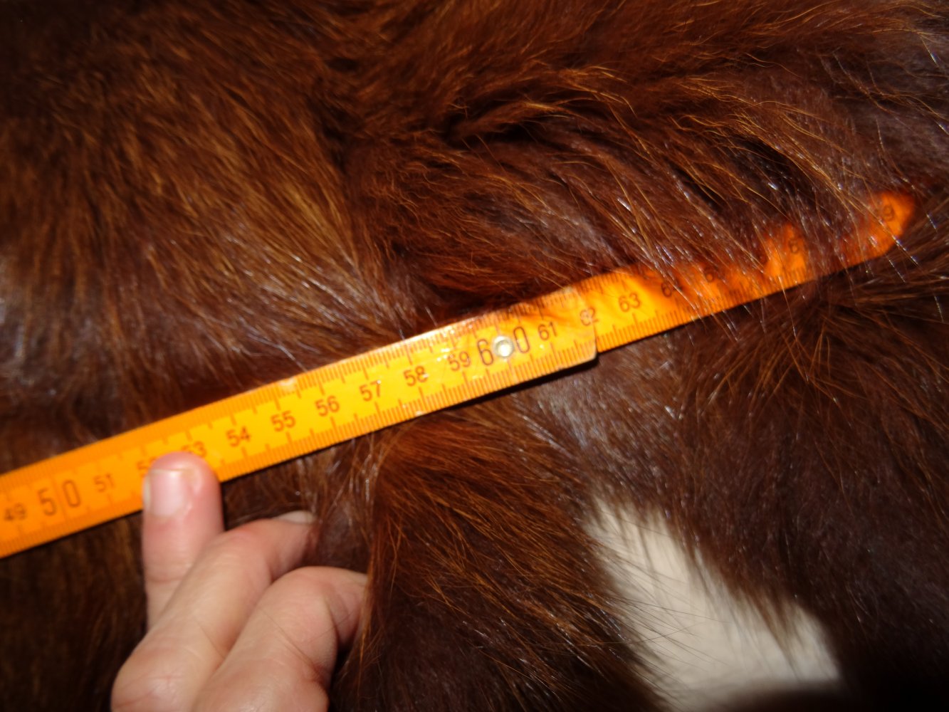 Pelzmantel braun Pelz Fur Coat Mantel Gr. 44 / 46