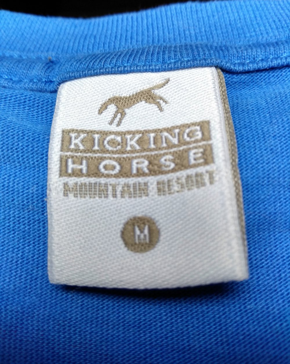 Kicking Horse Mountain Resort BC Ski Snowboard Kanada blau