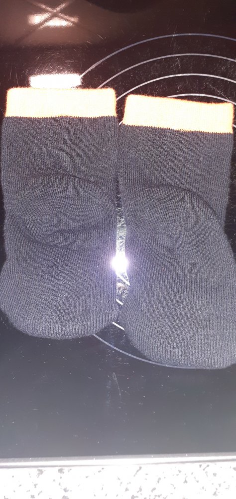 Halloween Baby Rasselsöckchen Gr. 62/68 neu