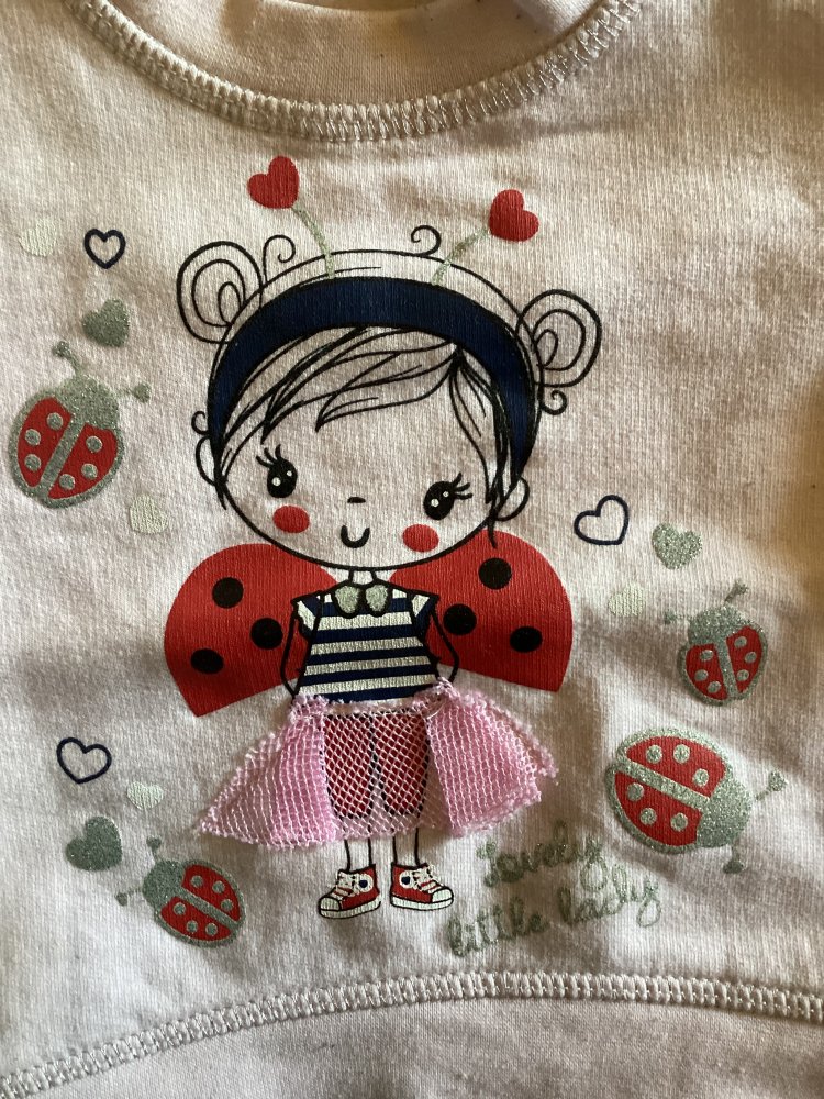 süßer Marienkäferpullover gr.68