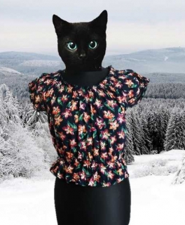 schulterfreies Carmenshirt mit Schößchen und Blumen print