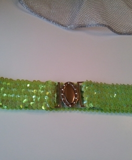 Pailletten Taillengürtel  Grün