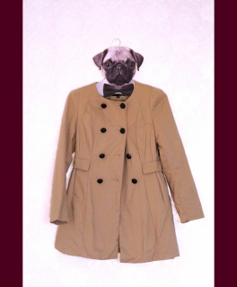 Schöner beiger Trenchcoat mit schwarzen Knöpfen und Schleife hinten