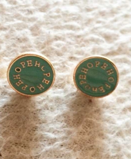 Tolle Ohrstecker Ohrringe Hope Grün Türkis Gold