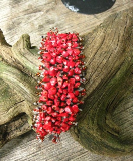 Glassteinchen Armband Hippie Ibiza Festival Boho