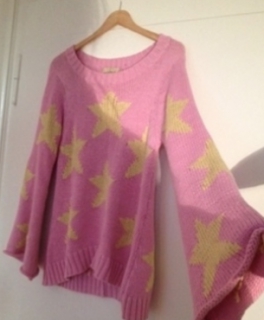 Original wildfox Pullover