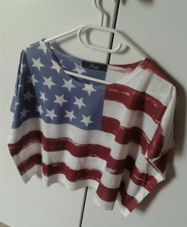 USA Crop Shirt Blogger Fashion
