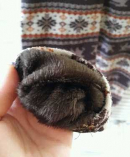 Norweger Thermo Leggings