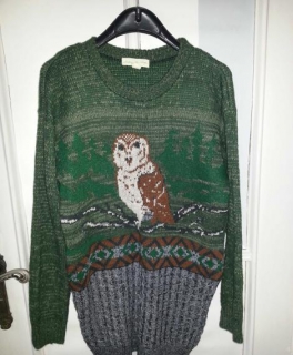 Urban Outfitters Pulli mit Eulenmotiv