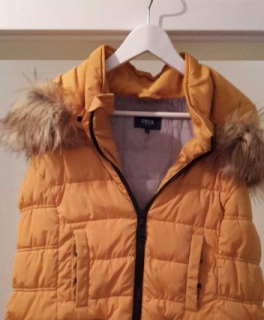 Cecil Steppweste gelb XL