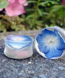 Blumen Plugs 16mm