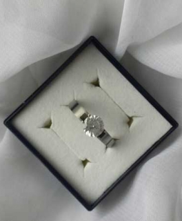 Wunderschöner Ring - NEU! Geschenk! Edelstahl!