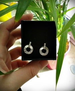 silberne Ohrringe (echt)