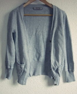 Zara Cardigan