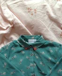 Asos Bluse transparent blau mit Bulldogge Muster Print