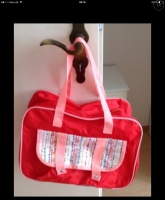 Neue süße bunte Strandtasche 