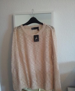 Netzpulli Herbst Glitzer neu