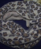 leo loop für den winter 